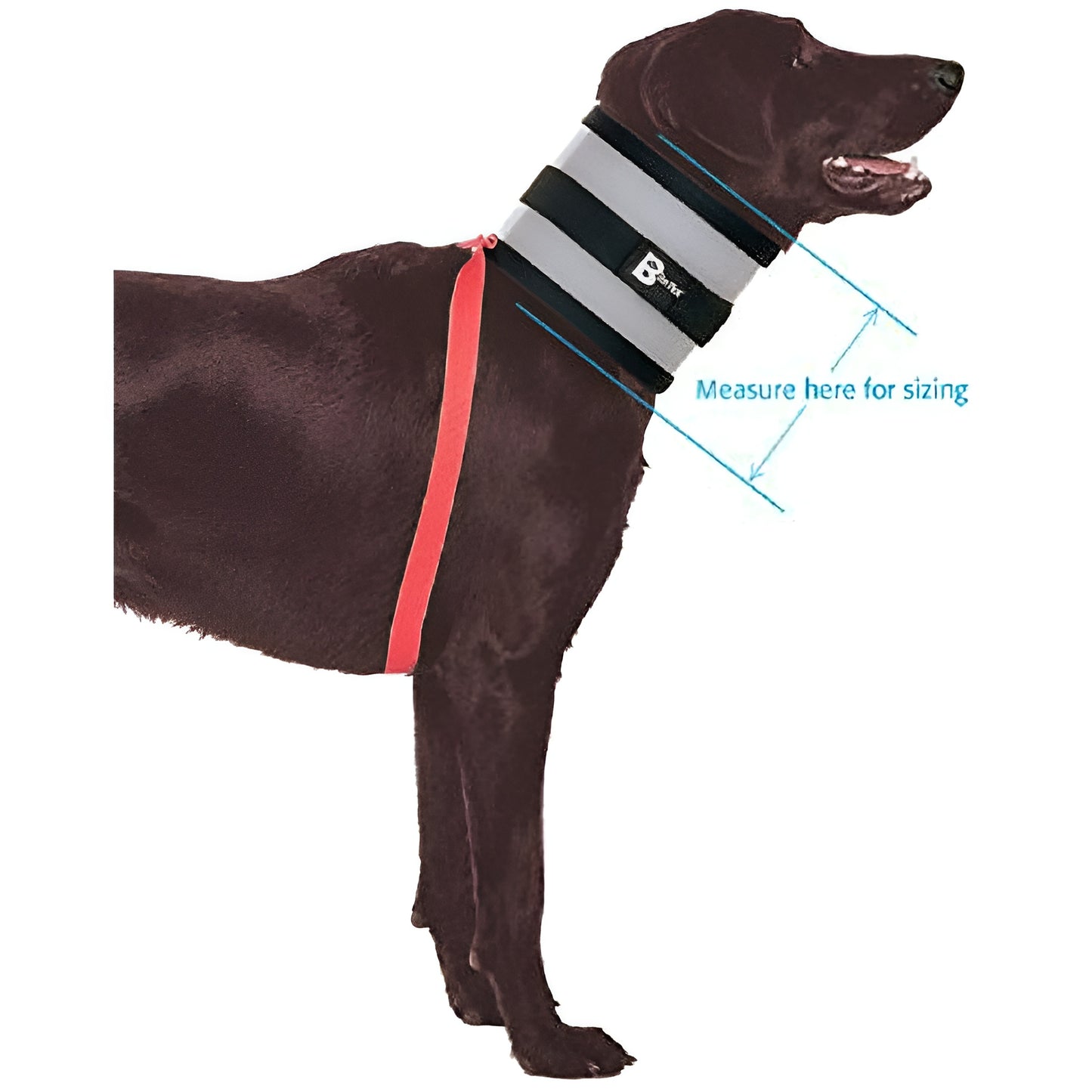 BiteNot Collar - 6" W x 27" L