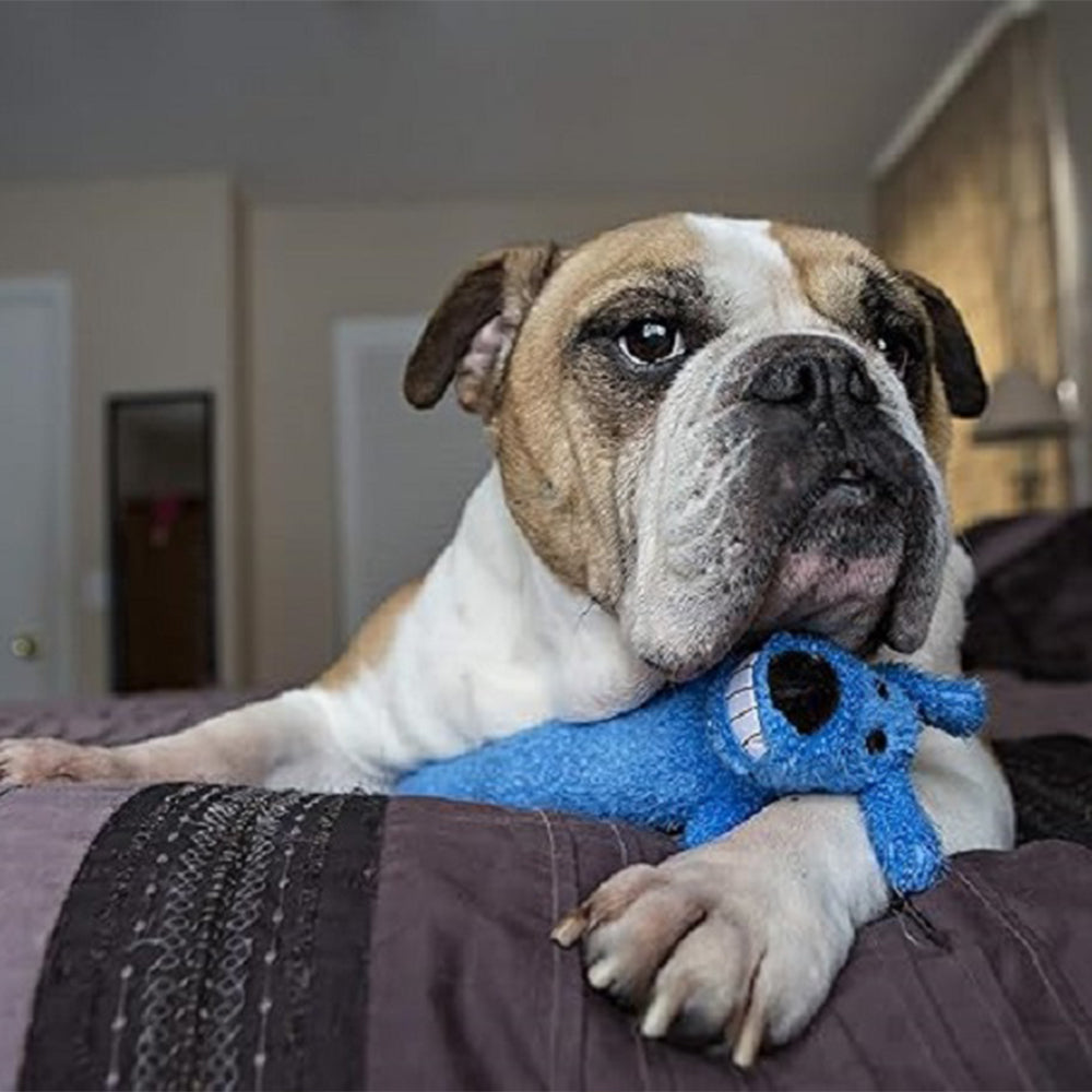 Multipet Birthday Loofa Dog Toy Medium - 12'(Blue)