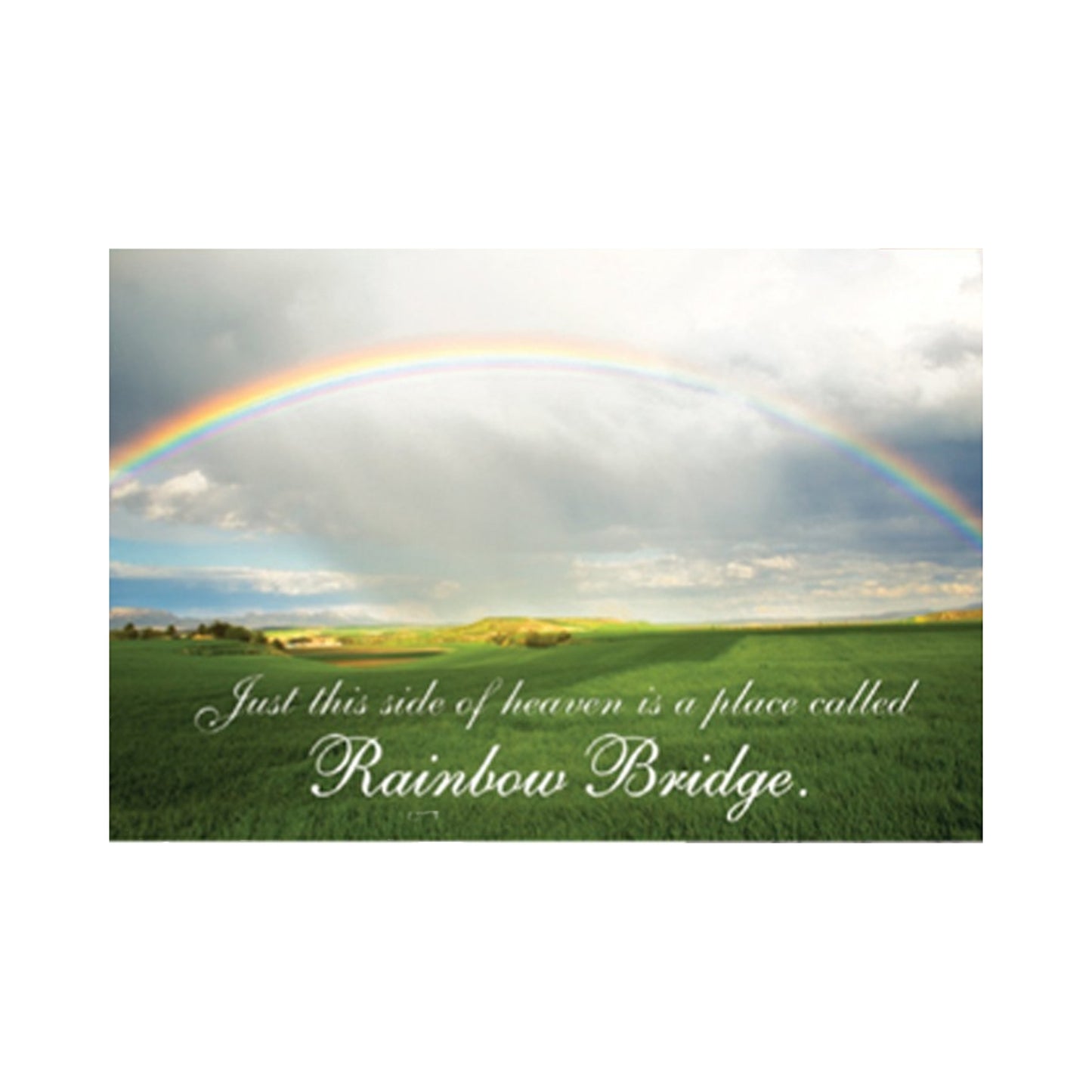 Dog Speak Rainbow Bridge Sympathy Card