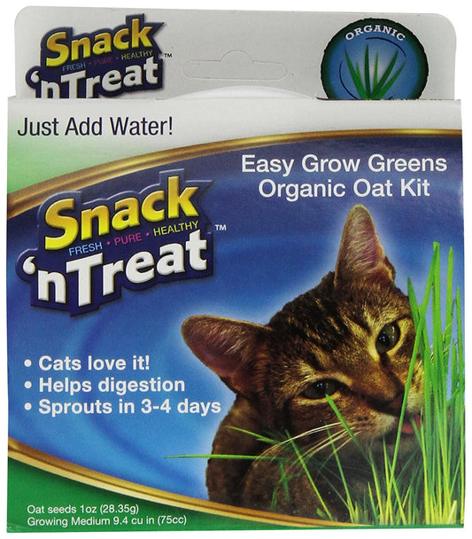 Imperial Cat Easy Grow Oat Grass Kit