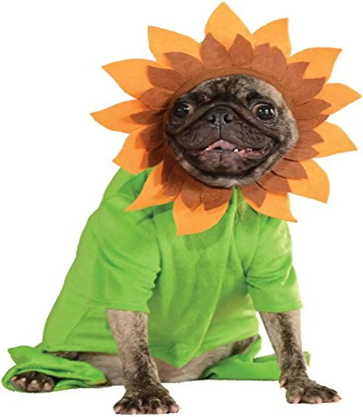 Rubies Sweet Sunflower Dog Costume - Large