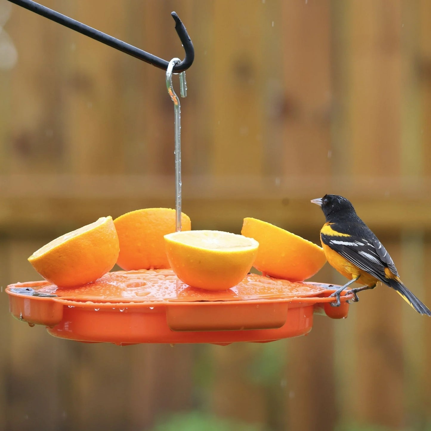 Songbird Essentials Ultimate Oriole Feeder, 32 oz.