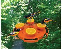 Songbird Essentials Ultimate Oriole Feeder, 32 oz.