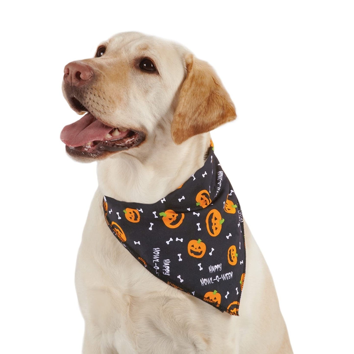 Aria Festive Halloween Dog Bandana (Howl-o-ween Pumpkins)