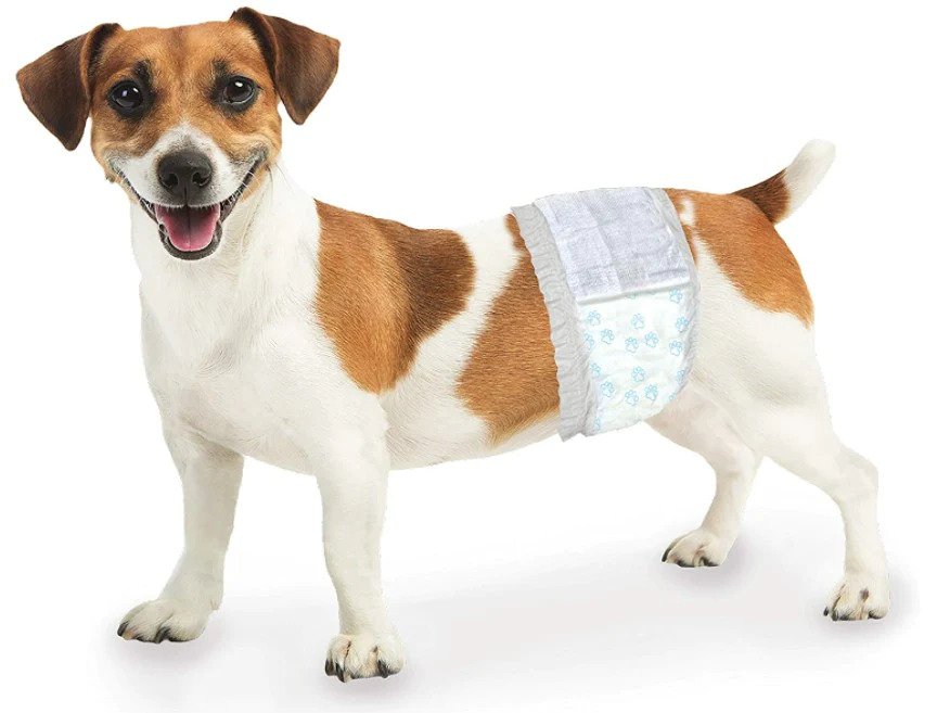 Four Paws Wee Wee Disposable Male Dog Wraps- X-Small/Small