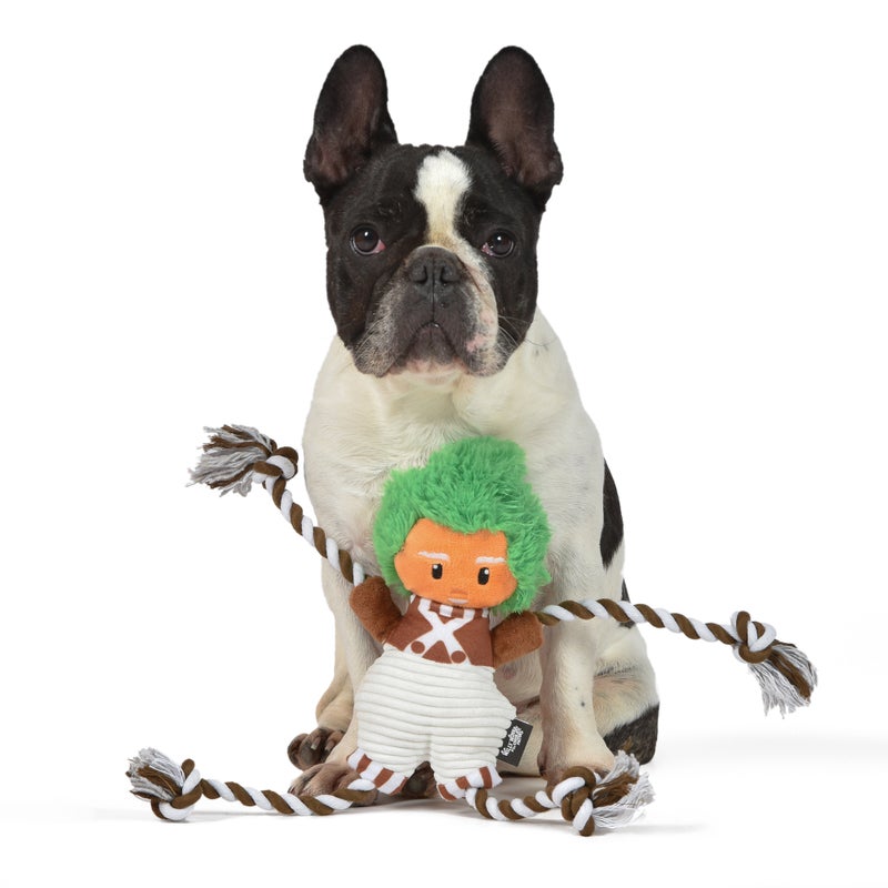 Willy Wonka: 12" Oompa-Loompa Plush Rope Pet Toy