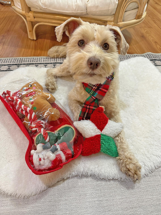 Midlee Toy Filled Christmas Dog Stocking Gift Set (14")- Squeaky Plush Ball Rope Holiday Pet Present