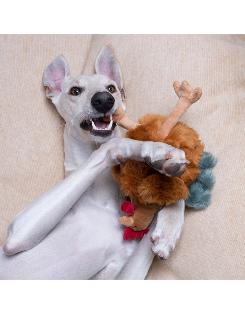 Fluff & Tuff Dog Toy, Chandler Chicken