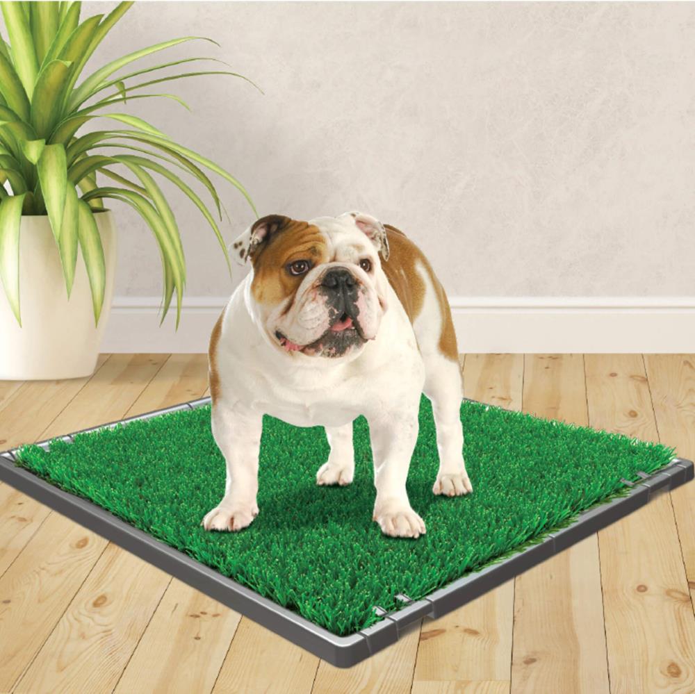 Four Paws Wee Wee Patch Indoor Potty 24.5"L x 25.7"W