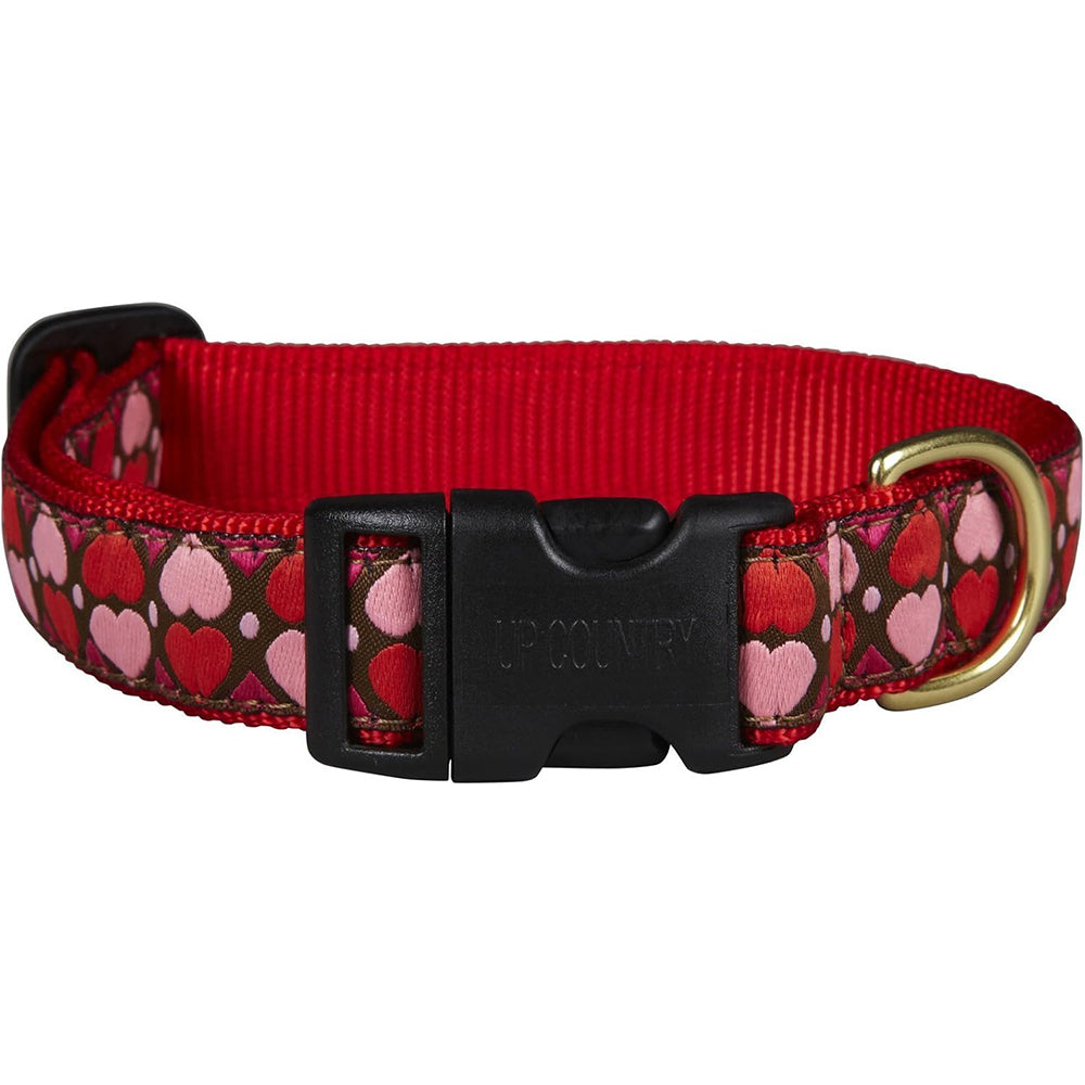 Up Country All Hearts Valentine Dog Collar, Medium