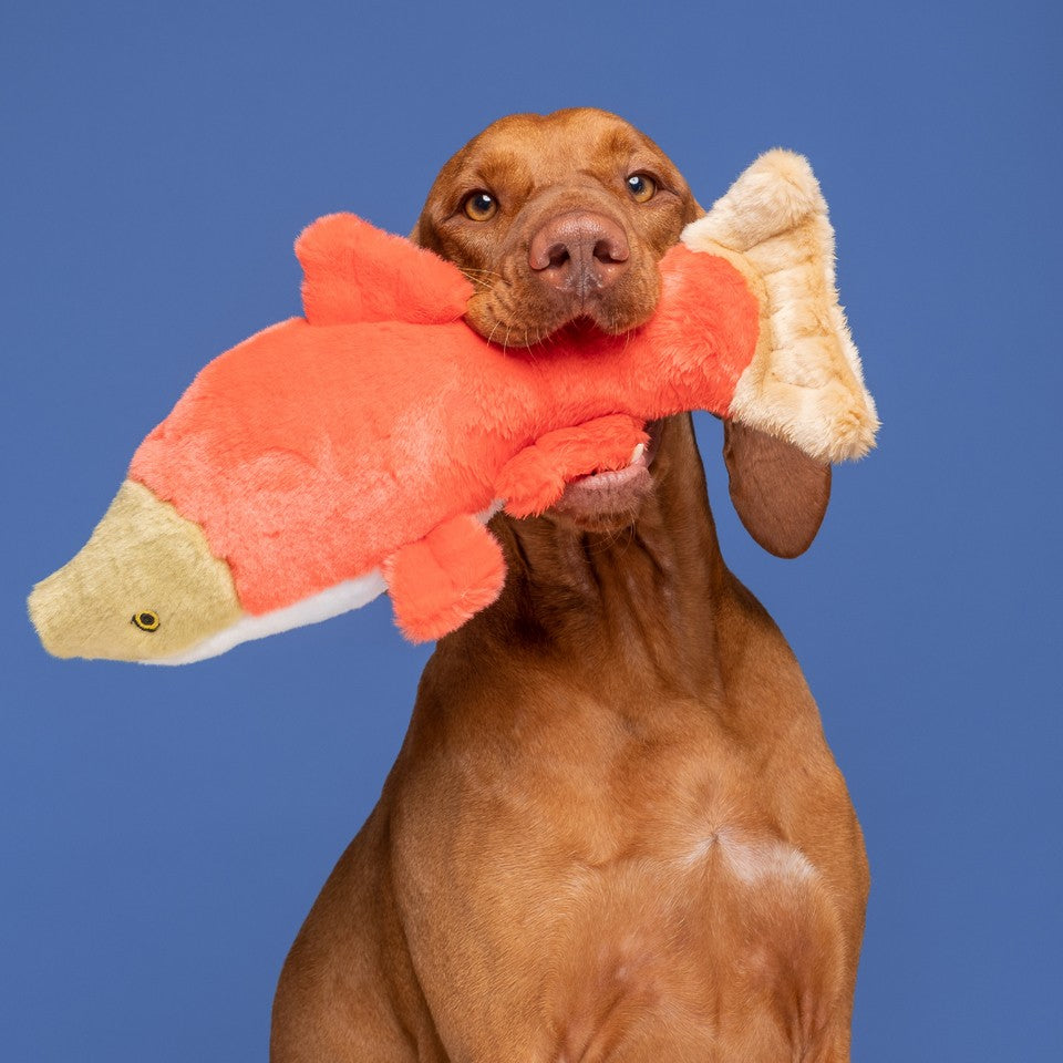Fluff & Tuff Cedar Salmon Dog Toy - 14"