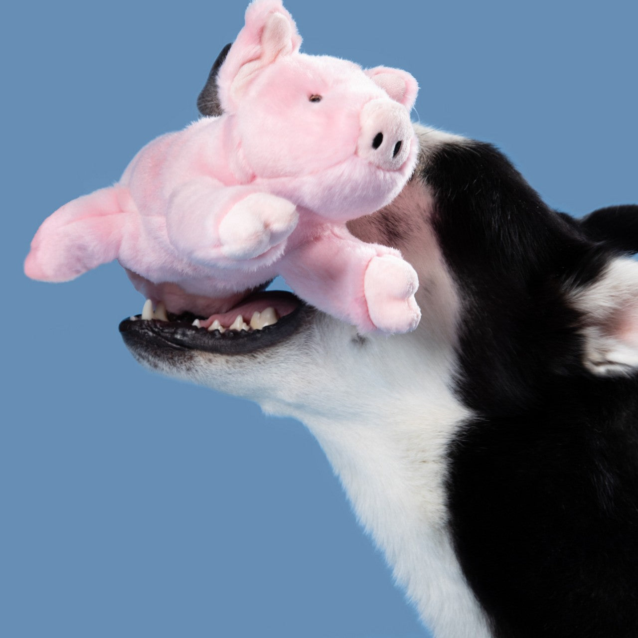 Fluff & Tuff Petey Pig Dog Toy - 9"