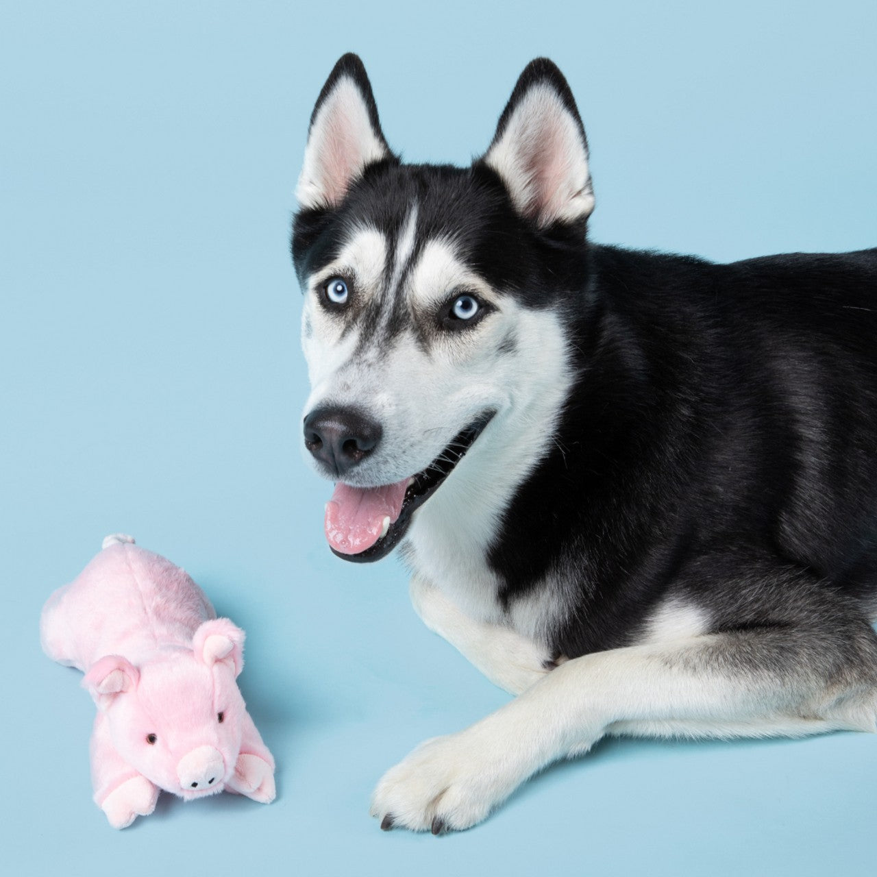 Fluff & Tuff Petey Pig Dog Toy - 9"