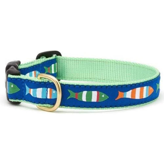 Up Country Fun-C-M Funky Fish Dog Collar - Large (15 to 21 inches) 1 inch Wide Width