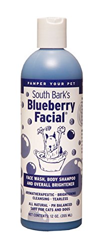 South Bark's Blueberry Facial Dog Shampoo 12oz