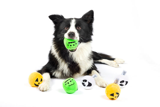 Midlee Silly Face Halloween Balls Plush Dog Toy