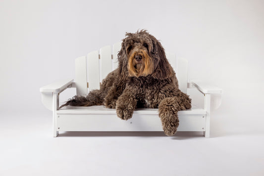 White Dog Adirondack Chair Bed