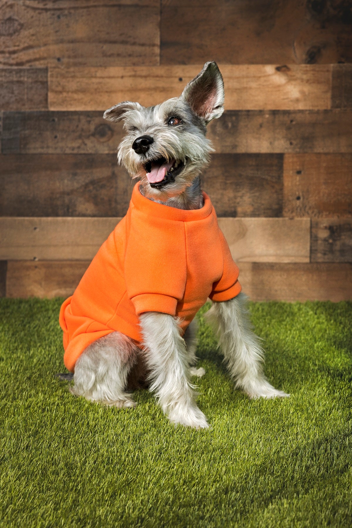 Midlee Coral Dog Sweatshirt