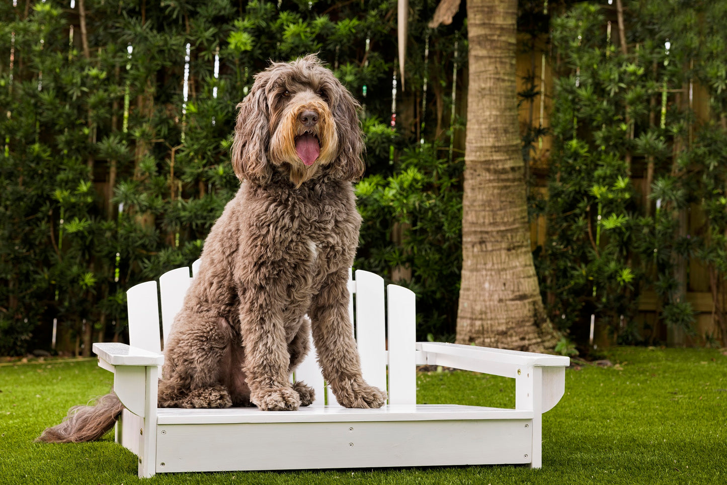 White Dog Adirondack Chair Bed