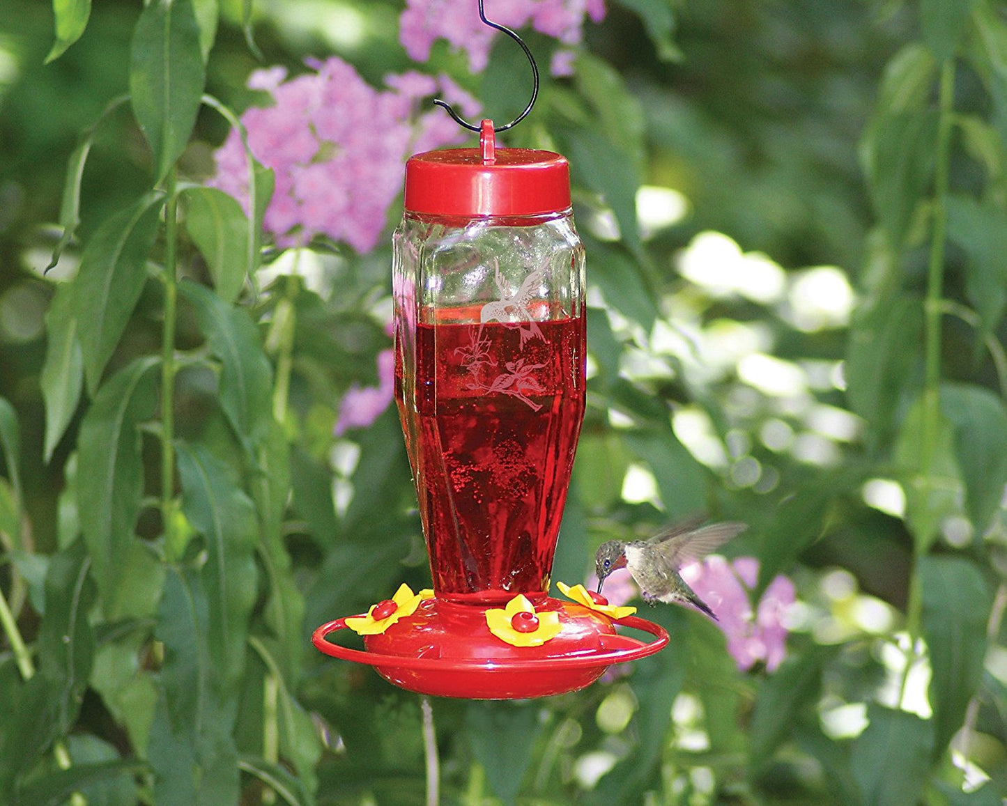 Homestead 24 oz Hummingbird Feeder (Etched Hardened Glass) - 3918