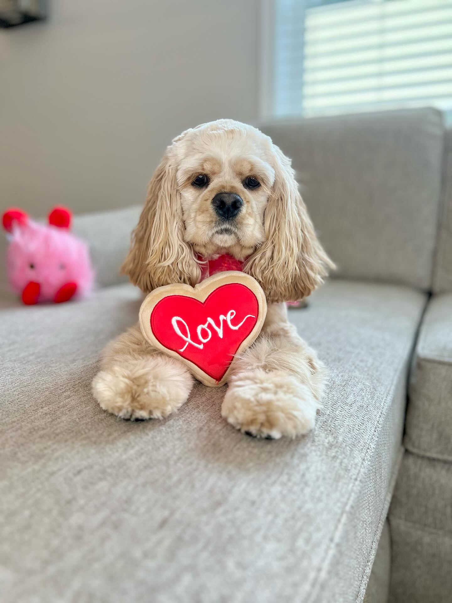 Midlee Red Heart Love Sugar Cookie Plush Toy