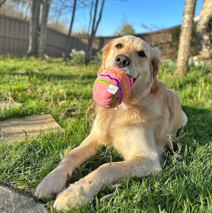 Midlee Easter Egg Plush Dog Toy - Pink (Large)