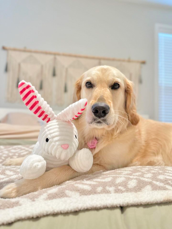Midlee Stripe Ears White Easter Rabbit Dog Toy