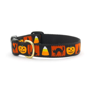 Up Country Halloween Motif Style Dog Collar, Medium