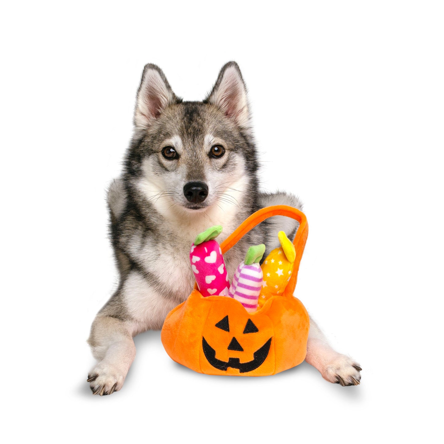 Midlee Find a Toy Halloween Pumpkin Bucket Dog Toy