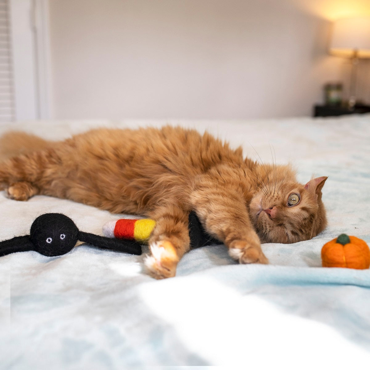 Midlee Halloween Felt Cat Toys Set- Bat, Pumpkin, Spider, Candy Corn