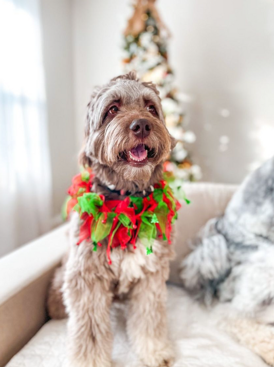 Midlee Jingle Bells and Christmas Trees Decorative Dog Collar
