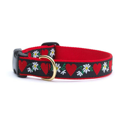 Up Country Hearts & Flowers Dog Collar - Medium