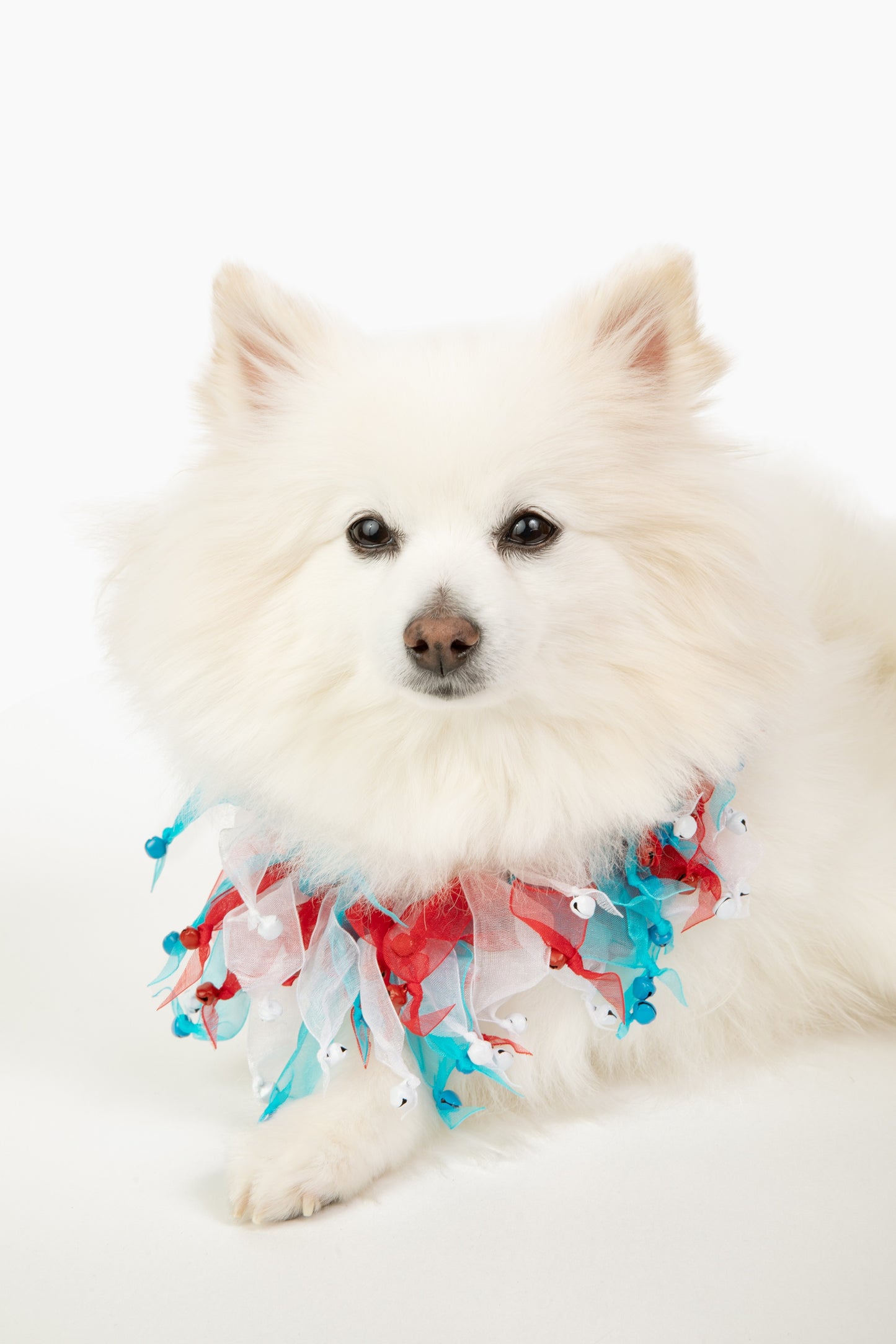 Midlee 4th of July Decorative Dog Bell Collar