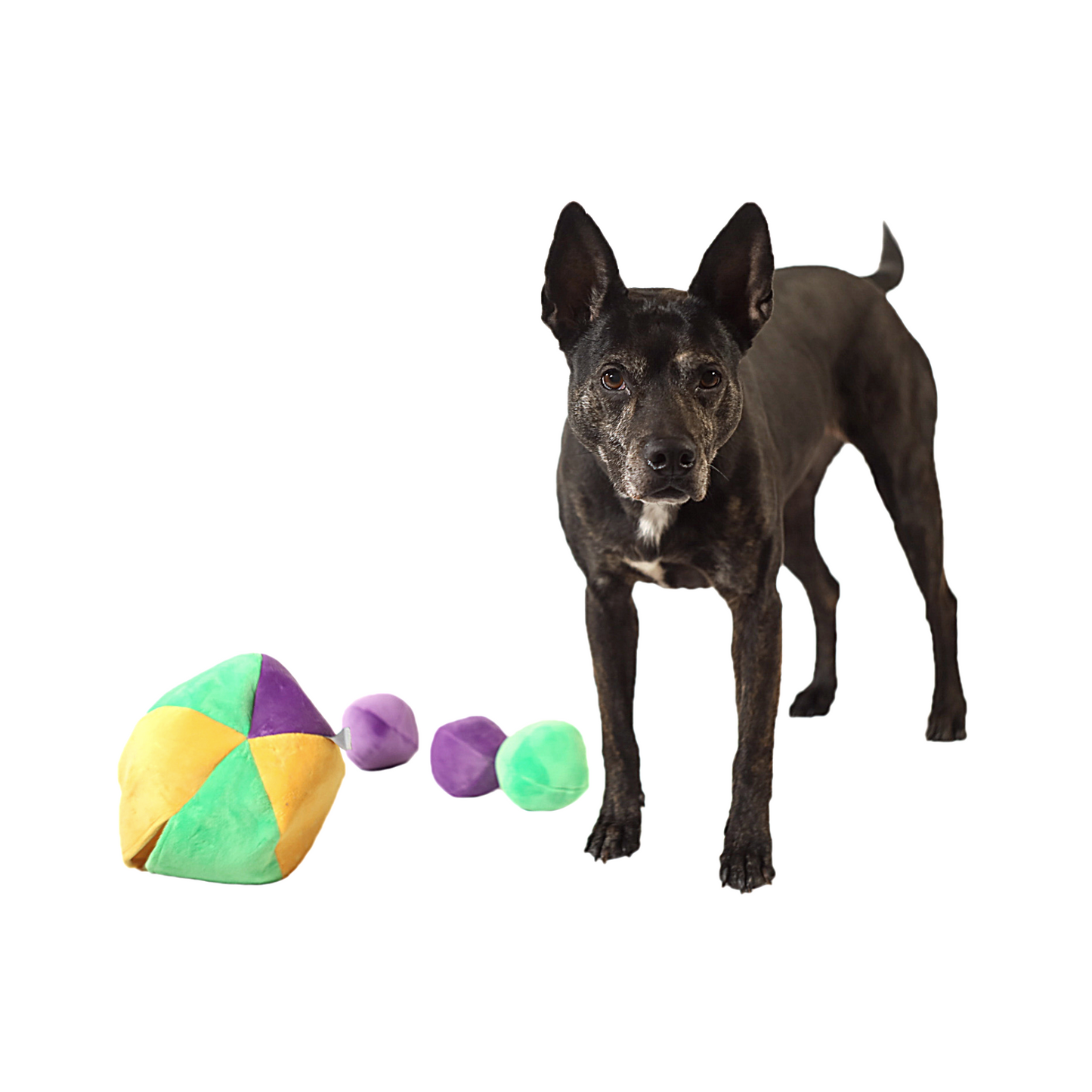 Midlee Hide a Ball Dog Puzzle Toy