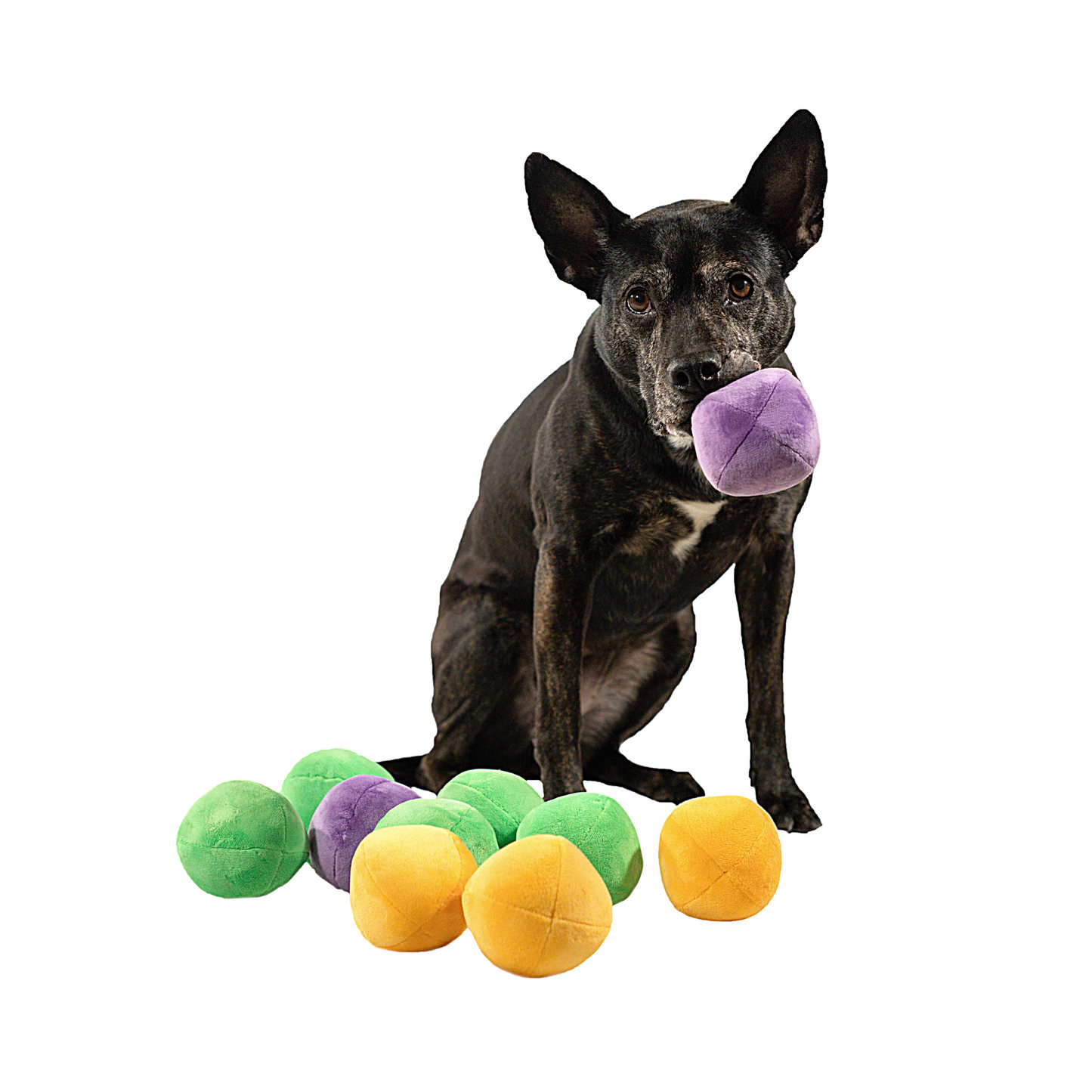 Midlee Squeaky and Crinkley Plush Dog Balls (Refill for Midlee Hide a Ball)