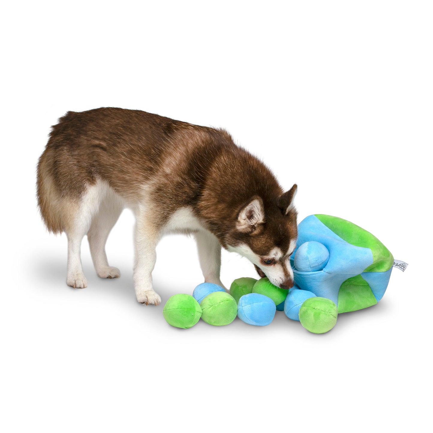 Midlee Hide a Ball Dog Toy - Blue/Green