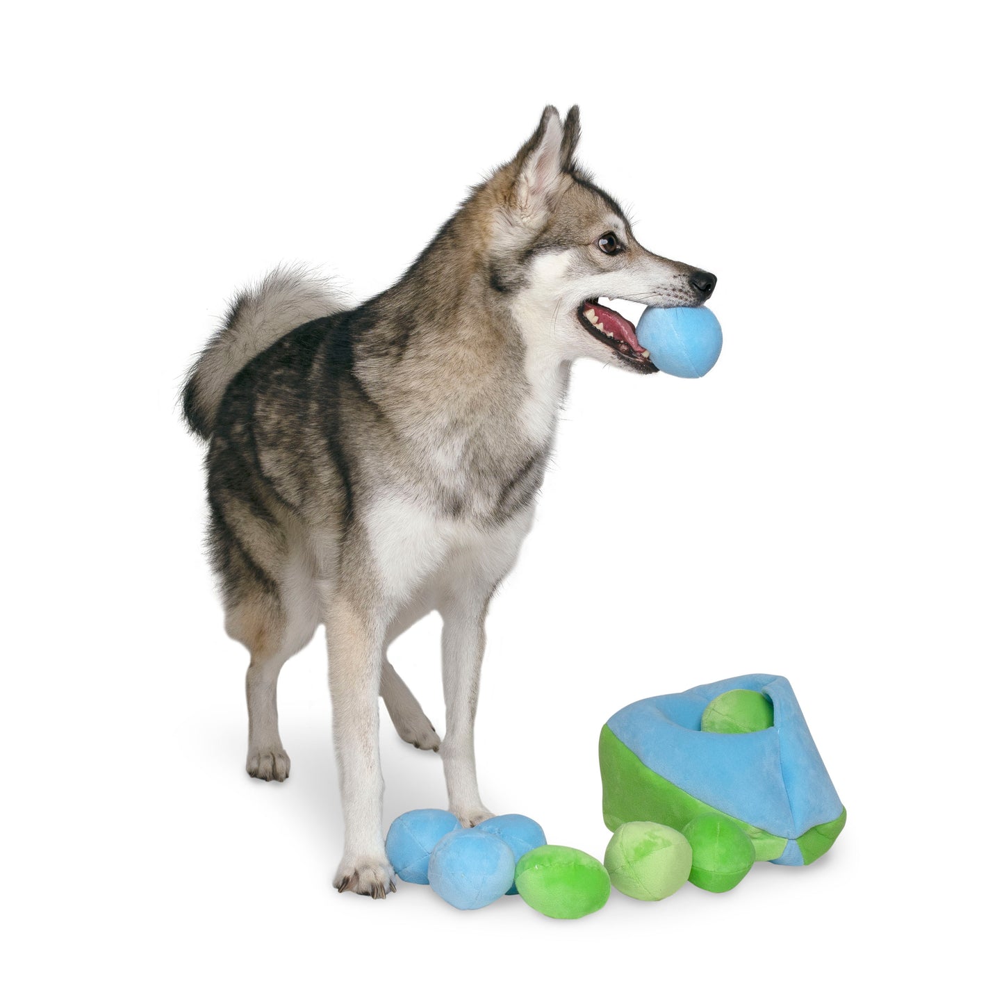 Midlee Hide a Ball Dog Toy - Blue/Green
