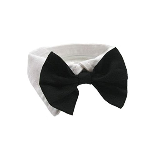 DOGGIE DESIGN Formal Black Dog Bow Tie (Large: Neck 16-19")