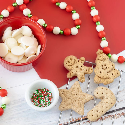 Bosco & Roxy's Santa's Workshop Holiday Cookie Decorating Kit | Christmas Dog Treats