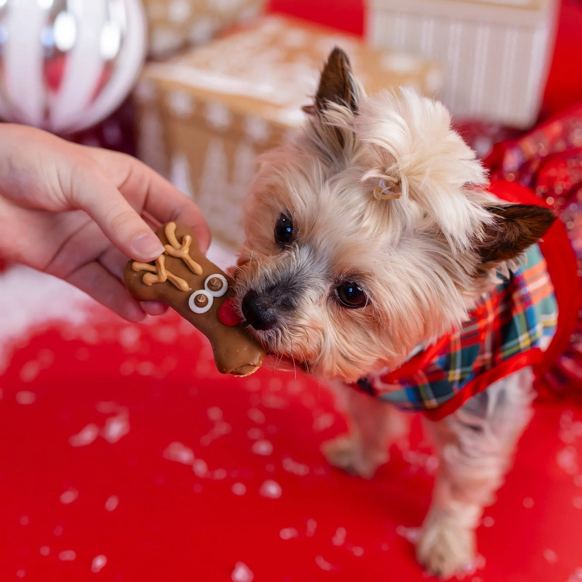 Bosco & Roxy's The Ho Ho Herd | Christmas Pre-Packaged Dog Treats
