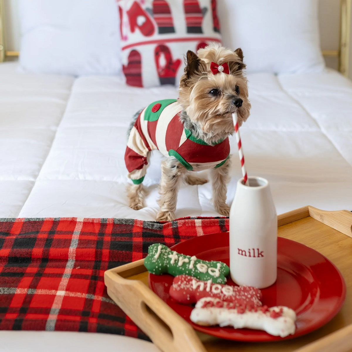 Bosco & Roxy's Naughty, Nice, I Tried! | Christmas Bakery Dog Treats