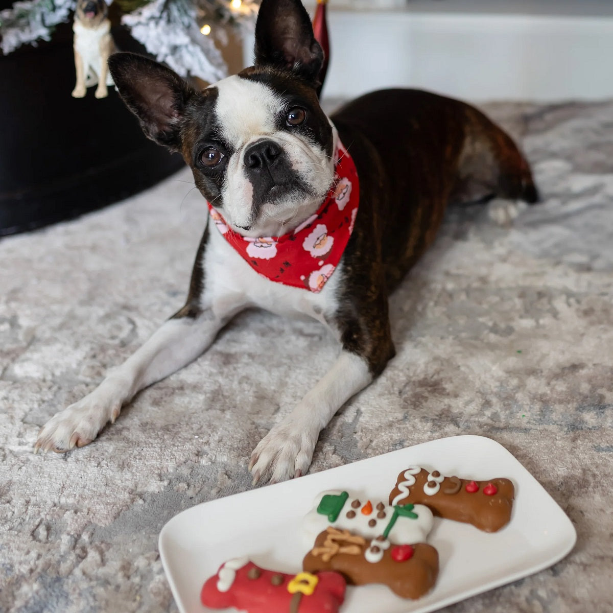 Bosco & Roxy's The Ho Ho Herd | Christmas Pre-Packaged Dog Treats