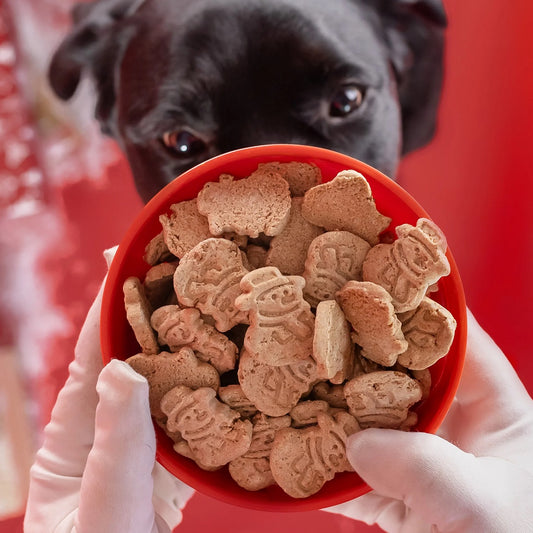 Bosco & Roxy's Frost Bites | Christmas Gift Dog Treats