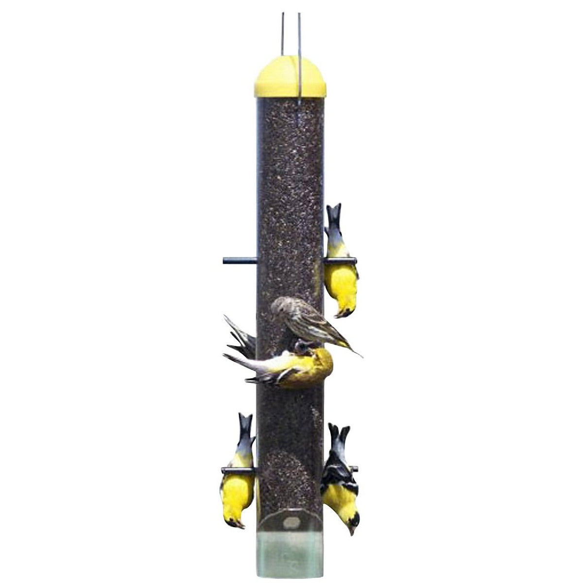 Perky Pet Yellow Patented Upside Down Thistle Bird Feeder - 2 lbs