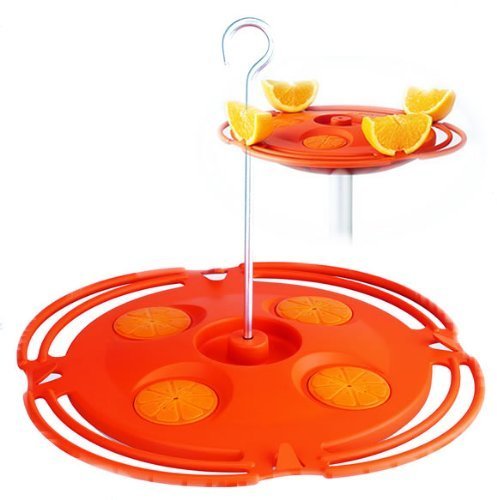 Perky Pet Orange Oriole Saucer Bird Feeder - 16 oz