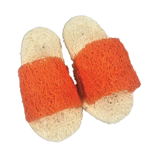 AE Cage Company Nibbles Sandals Loofah Chew Toy Assorted Colors - 2 count