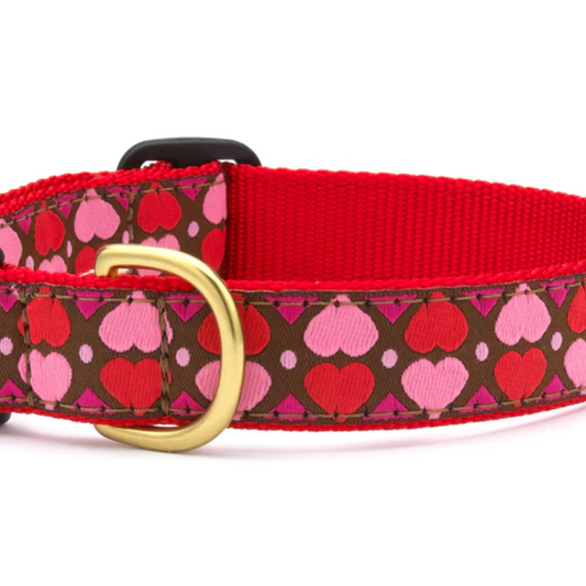 Up Country Valentine and Hearts Pattern Dog Collar Large 1 Inch Wide- All Hearts