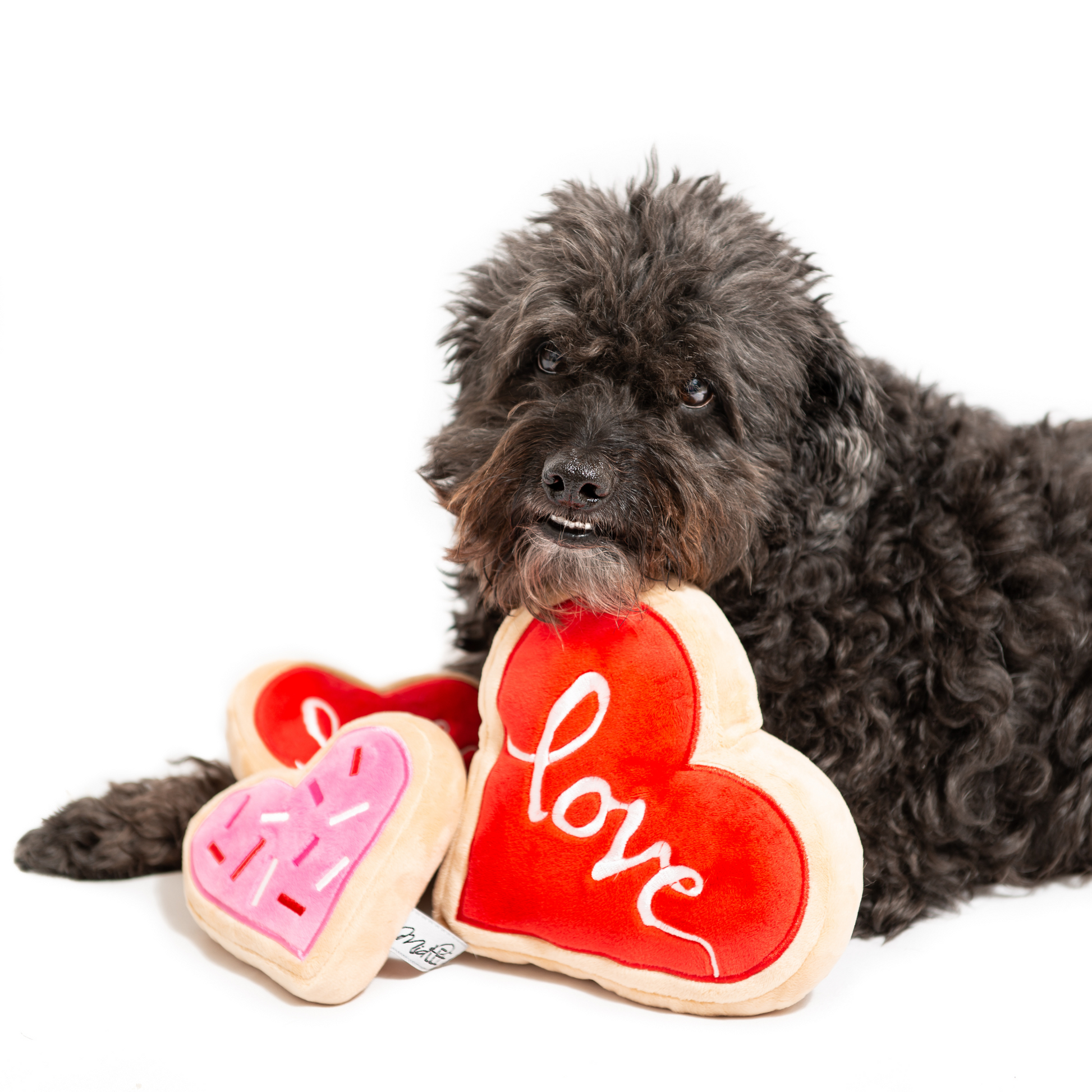 Mini Hearts Valentine's Day Dog Treats – Midlee Designs