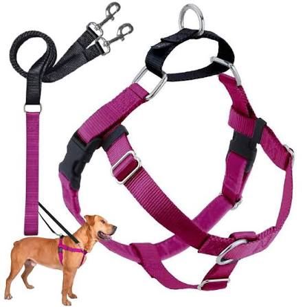 2 Hounds Design Freedom No Pull 1 Inch Training Leash ONLY Works with No Pull Harnesses Raspberry