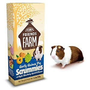 Tiny Friends Farm Gerty Guinea Pig Scrummies Treats - 4.2 oz